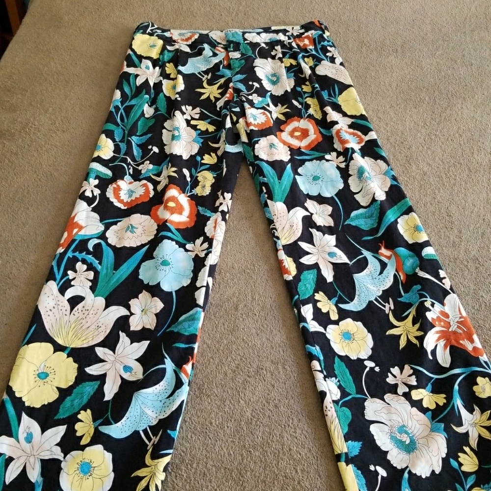 Jessica Hart Pencey Standard Pants Size 6